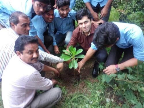 Tree Plantation (2)