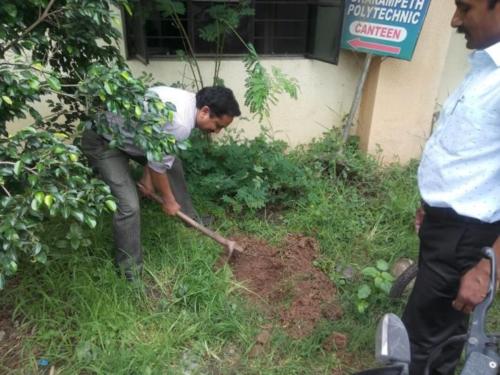 Tree Plantation (4)